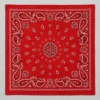 Bandana clásica de algodón de cachemir – Imagen 1 de 3
