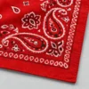Bandana clásica de algodón de cachemir – Imagen 3 de 3