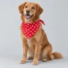 Bandana pour animaux – Image 2 sur 3